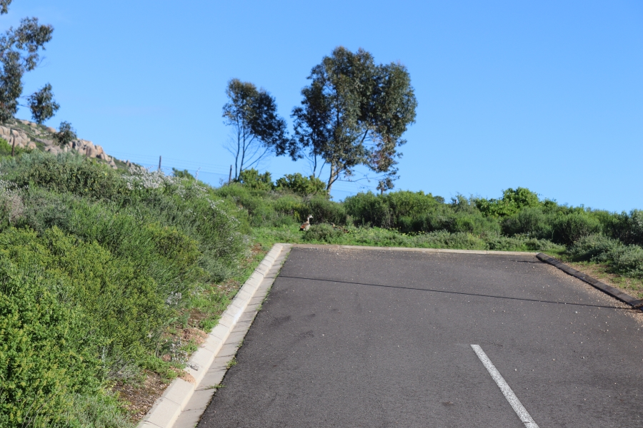 0 Bedroom Property for Sale in St Helena Views Western Cape